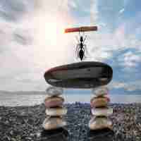 语‍义​知﻿识﻿是‍什‌么​意﻿思‌